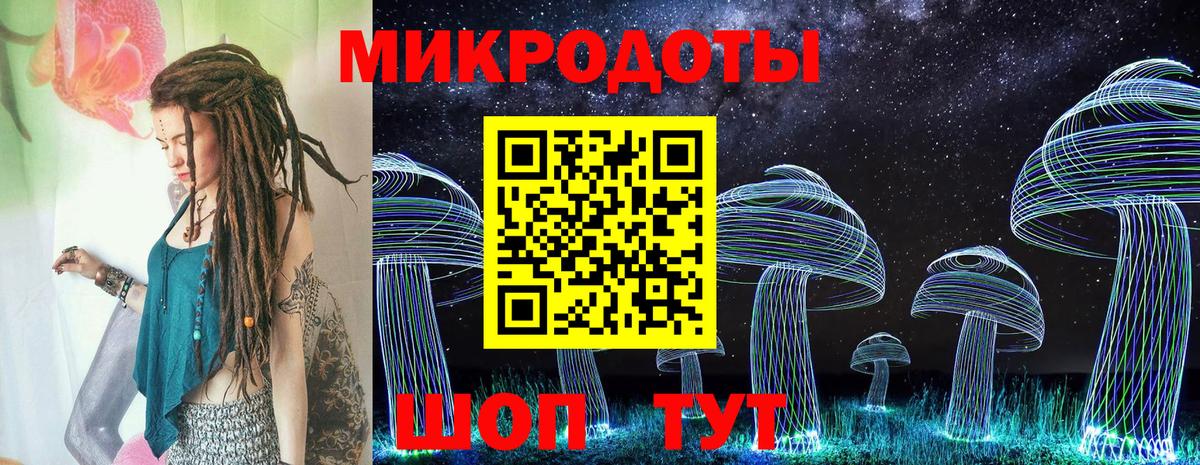 Псилоцибиновые грибы Cubensis Луховицы