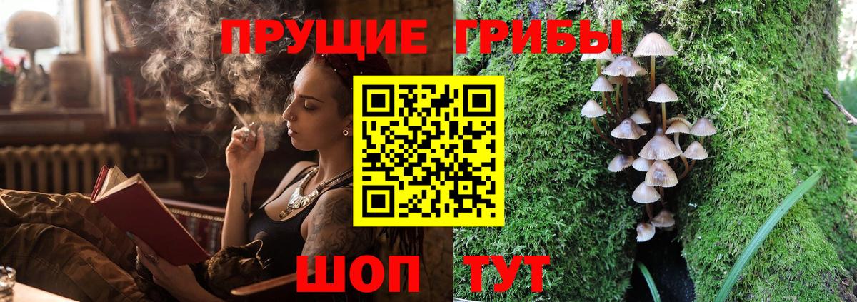 Галлюциногенные грибы ЛСД  купить наркотики сайты  Галлюциногенные грибы MAGIC MUSHROOMS  Луховицы  Вход с VPN 